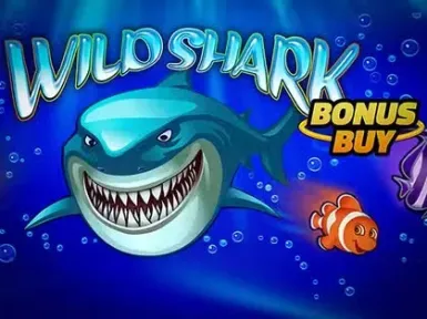 Casoola Casino screenshot